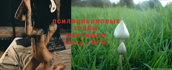винт Беломорск