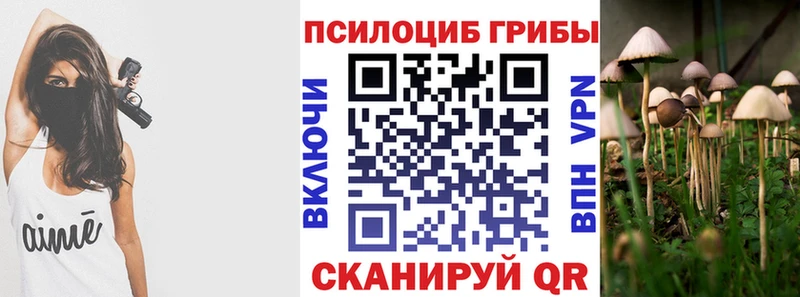 Галлюциногенные грибы Magic Shrooms Сердобск